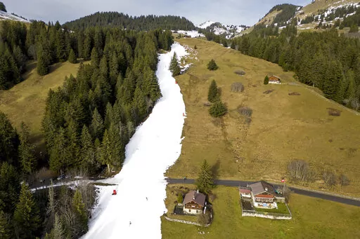 Skiers speed down a ski slope with artificial snow in the middle of a snowless field, at 1600 meters above sea level, in the alpine resort of Villars-sur-Ollon, Switzerland, Saturday, Dec. 31, 2022. Sparse snowfall and unseasonably warm weather in much of Europe is allowing green grass to blanket many mountaintops across the region where snow might normally be. It has caused headaches for ski slope operators and aficionados of Alpine white this time of year. (Laurent Gillieron/Keystone via AP)