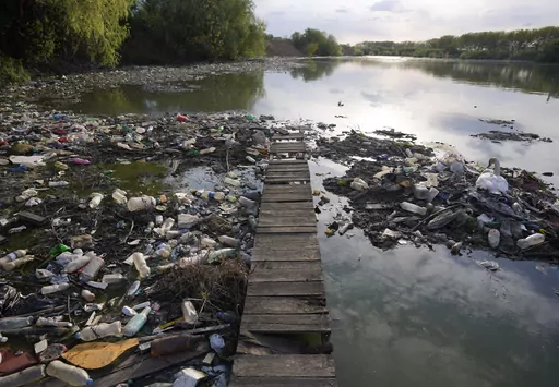 A swan stands between dumped plastic bottles and waste at the Danube river in Belgrade, Serbia, on April 18, 2022. A new study says Earth has pushed past seven out of eight scientifically established safety limits and into “the danger zone,” not just for an overheating planet that’s losing its natural areas, but for well-being of people living on it. The study, published Wednesday, May 31, 2023, for the first time it includes measures of “justice,” which is mostly about preventing harm