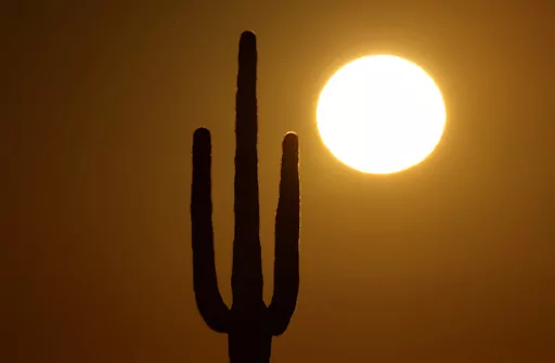 A saguaro cactus stands against the rising sun Monday, Feb. 22, 2016, in the desert north of Phoenix. The death of an older Arizona woman when her electricity was cut during a heat spell five years ago spurred changes in shutoff rules. The Arizona agency that oversees regulated utilities now bans power companies from cutting off power for failure to pay during Arizona's hottest months. (AP Photo/Charlie Riedel, File)