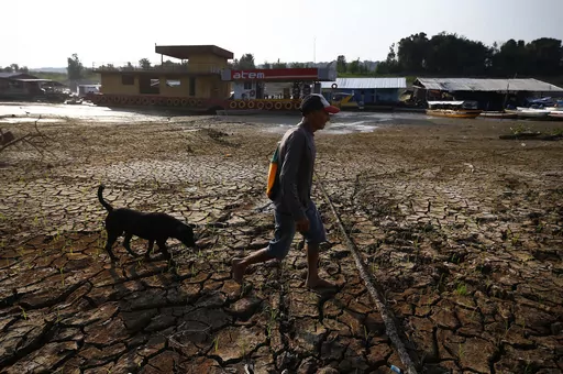 Joaquim Mendes da Silva, 73, walks with his dog on the dry bed of Puraquequara lake amid a drought, in Manaus, Amazonas state, Brazil, Oct. 5, 2023. He said this drought is the worst he can recall. (AP Photo/Edmar Barros, File)