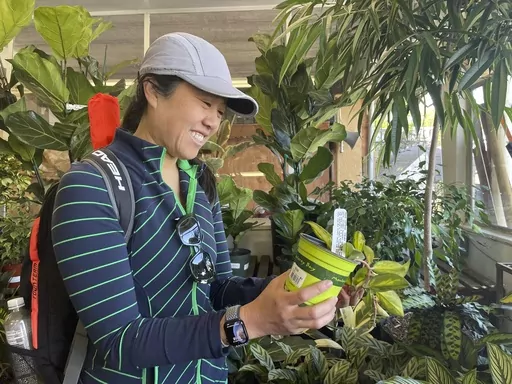 Customer Amy Ashcroft looks at a plant at Flowercraft at Flowercraft, a garden center, on March 13, 2024 in San Francisco. Garden centers enjoyed a pandemic boom, particularly with millennials, as people looked for outdoor activities during lockdowns. (AP Photo/Haven Daley)