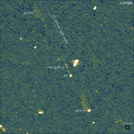 This undated image provided by Caltech, taken by Europe's LOFAR (LOw Frequency ARray) radio telescope, shows the longest known pair of black hole jets, as reported Wednesday, Sept. 18, 2024, in the journal Nature. (LOFAR Collaboration/Martijn Oei/Caltech via AP)