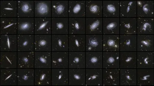 This photo provided by the European Space Agency shows various galaxies imaged by the Euclid mission. (European Space Agency via AP)