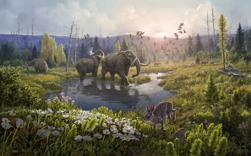 This illustration provided by researchers depicts Kap Kobenhavn, Greenland, two million years ago, when the temperature was significantly warmer than northernmost Greenland today. Scientists have analyzed 2-million-year-old DNA extracted from dirt samples in the area, revealing an ancient ecosystem unlike anything seen on Earth today, including traces of mastodons and horseshoe crabs roaming the Arctic. (Beth Zaiken via AP)