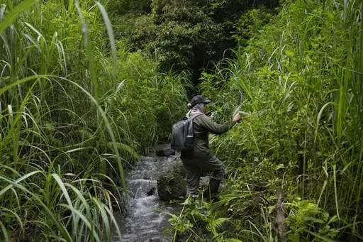 Sumini, a leader of a female ranger group, uses a machete to clear the way along a stream during a forest patrol in Damaran Baru, Aceh province, Indonesia, Tuesday, May 7, 2024. The patrol group was started by Sumini, who witnessed the devastating effects of deforestation on her local village. (AP Photo/Dita Alangkara)