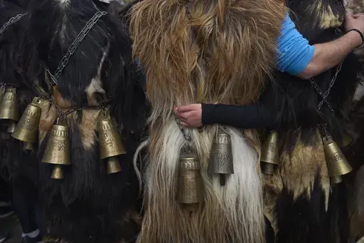 Revellers dressed in animal skins and heavy bronze bells, prepare to take part in carnival celebrations in Distomo, a village in central Greece, on Monday, March 3, 2025. (AP Photo/Petros Giannakouris)