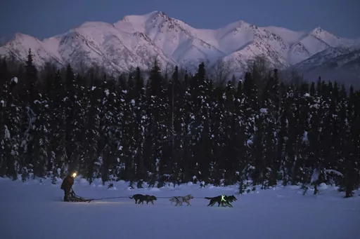 Musher Dutch Johnson, a kennel manager at The August Foundation for Alaska Racing Dogs, runs a dog team on Dee Lake in Chugiak, Alaska, Jan. 23, 2024. The lead dogs are illuminated for safety. Alaska’s wild spaces are getting more crowded and dangerous for Alaska’s four-legged athletes training for the Iditarod, an annual sled dog race that celebrates the official state sport. (Bill Roth/Anchorage Daily News via AP)