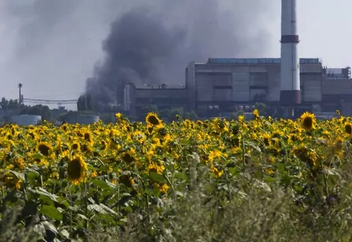 Smoke from an oil refinery rises over a field of sunflowers near the city of Lisichansk, Luhansk region, eastern Ukraine on July 26, 2014. Prices for food commodities like grains and vegetable oils reached their highest levels ever last month because of Russia's war in Ukraine and the “massive supply disruptions” it is causing, the United Nations said Friday, April 8, 2022. (AP Photo/Dmitry Lovetsky)